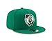 NBA Boston Celtics Men's 9Fifty Team Color Basic Snapback Cap, One Size, Green