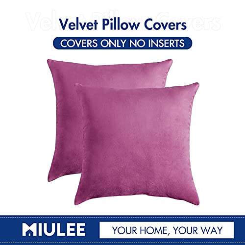 Image of MIULEE Pack of 2, Velvet Soft Solid Decorative Square Throw Pillow Covers Set Cushion Case for Sofa Bedroom Car 18 x 18 Inch 45 x 45 cm