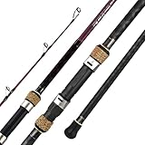 Berrypro Surf Spinning & Casting Fishing Rod Carbon Fiber Travel Fishing Rod (9 Feet /10 Feet /12 Feet) (12'-Spinning 2-Piece)