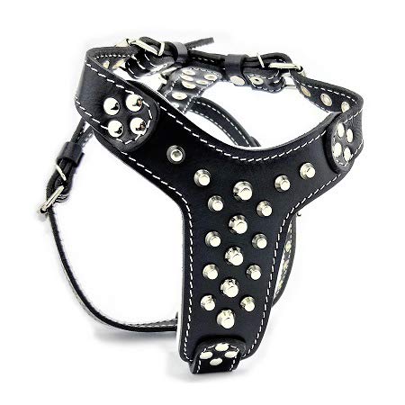 Bestia Studded Leather Harness. French Bulldog Size. 100% Leather. Handmade in Europe