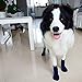 EXPAWLORER Anti-Slip Dog Socks Traction Control for Indoor Wear, Paw Protection Large¡­