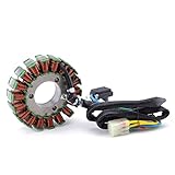  TERAM LOISIRS Stator Allumage compatible pour POLARIS Phoenix 200 Quad à partir de 2008 NEUF FRANCE