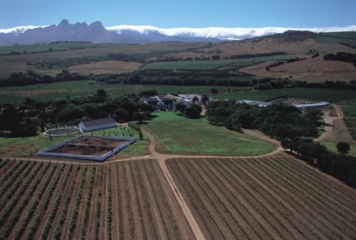 Meerlust Rubicon Stellenbosch Wein (1 x 0.75 l)