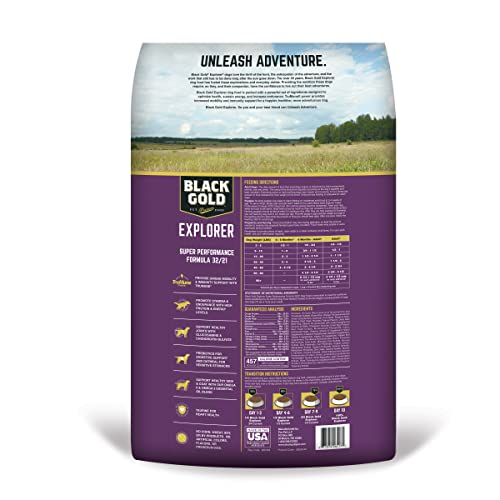 Black Gold Explorer Super Performance Recipe 32/21 Dry Dog Food