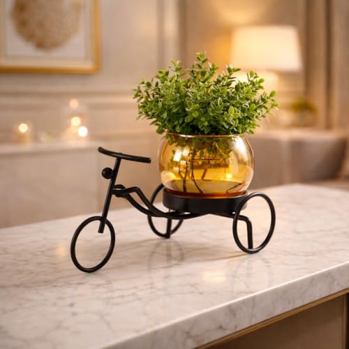 Image of CentraLit Decorative Metal Tricycle Planter for Home Decor | Handcrafted Indoor Plant Pot with Amber Glass Bowl | Premium Tabletop Planter for Living Room, Office, Balcony & Gifting