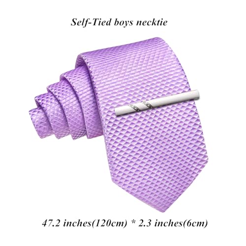 Image of Barry.Wang Boys Ties School Pre-Tied Kids Necktie Handkerchief Clip Set Uniforms Child Ties for 8-14 Years Wedding Party