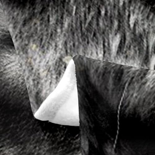 Couverture en flanelle de qualité supérieure : motif lion couronne noir - 5