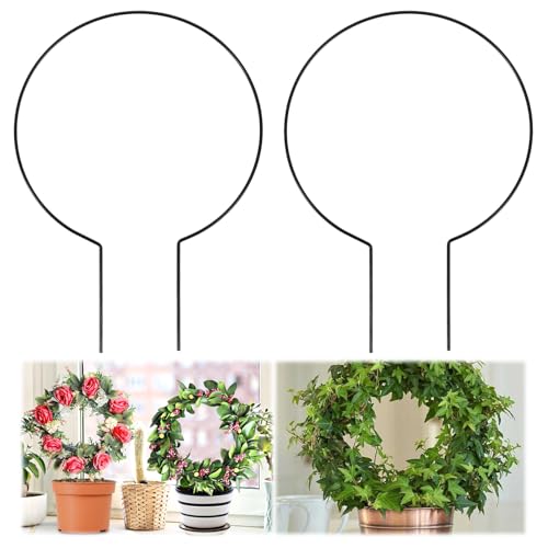 Tyqour Rund Rankhilfe Zimmerpflanzen Rankgitter Metall, 2 Stück Garten Pflanzenhalter, 20x28cm Rund Kletterhilfe für Pflanzen Pflanzenstütze Rankhilfe Zimmerpflanzen für Kletterpflanzen Rose Rattan