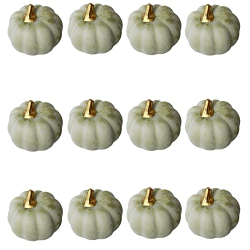 12Pcs Retro Green Artificial Pumpkins Bulk Autumn Decoration Set,Thanksgiving Pumpkin Decorations,Decorative Pumpkin Faux Harvest Fake Mini Foam Pumpkins for Fall,Wedding,Home Halloween Party Decor - Image 2