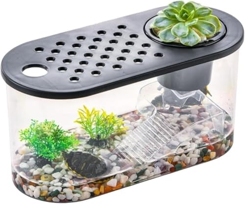 Klivex  vX`bN   AN J O ϗtA CeA e e[u ANAE {E | e ꎔe ^ 甫Ai (I[oV[gfyJo[{k͔|oXP)