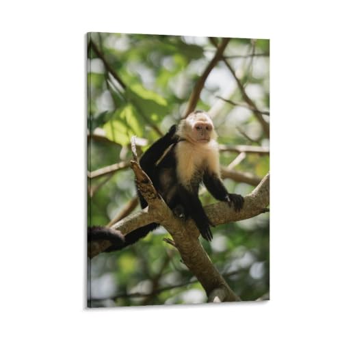 Poster macaque jungle à suspendre : sublimez facilement un grand mur nu