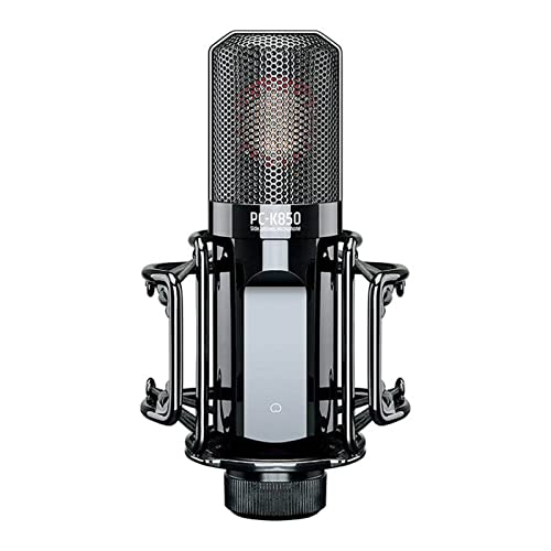TAKSTAR Professional Studio Recording Microphone Large Capsule Condenser Microphone PC-K850
