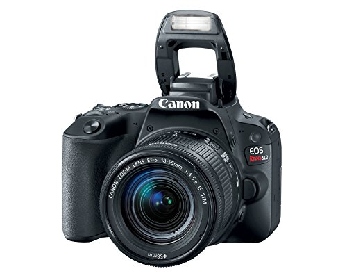 Canon EOS Rebel SL2 - Image 8