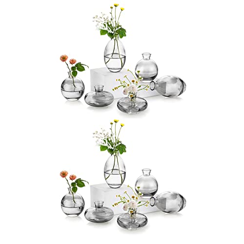 EylKoi Bud Vases Glass Mordern
