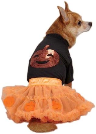 Zack & Zoey Pumpkin Costume Set for Pets, Small/Medium, Orange