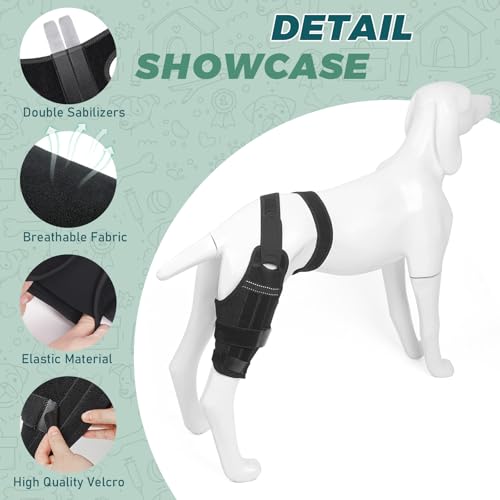 Image of Dog Knee Brace for Back Leg Fit Large to Small Dogs Strong Support Adjustable Dog Leg Braces with 2 Metal Strips for Hip Dysplasia, ACL, CCL, Ligament Injuries & Osteoarthritis (Right Leg, 2XL)
