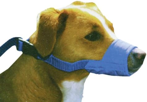 Four Flags Quick Muzzle XL Blue
