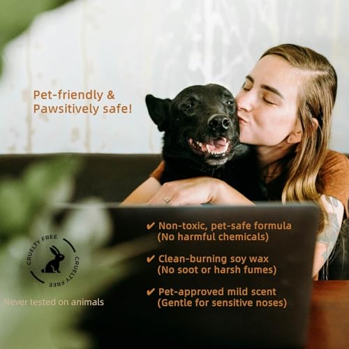Scented Soy Candles, Aromatherapy Jar Candles for Home Scented, Long Lasting Candles with 65+ Hour Burn Time 11oz, Candle Gifts Soy Candles Scents of (Pine & Eucalyptus) - Image 4