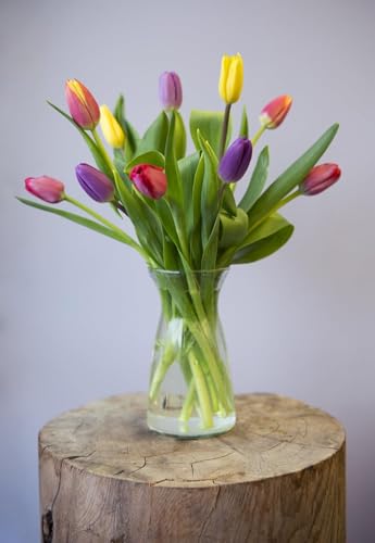 Image of KaBloom-10 Assorted Tulip Bouquet,Flowers for Valentine, Mother's Day