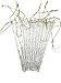 Kurt Adler 5-1/4-Inch Glass Icicle Ornament 36-Piece Box Set