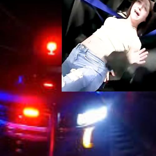 Couverture de When Strippers Go Wild: Drunken Stripper's Reckless Hit & Run & Assault!