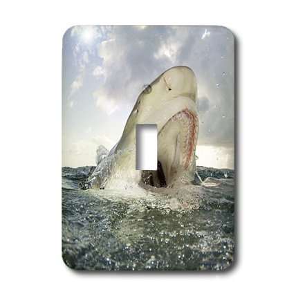 Interrupteur à baïonnette décoratif avec motif de requin des Bahamas