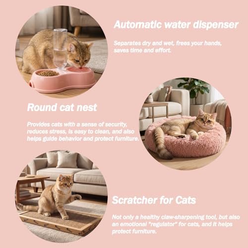 Kitten Starter Kit - 45 Pcs of Cat Essentials - Image 2