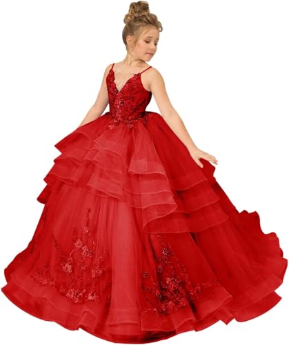 Flower Girl Dress Lace Applique - First Communion Dress Puffy Tulle Pageant Dress for Girls