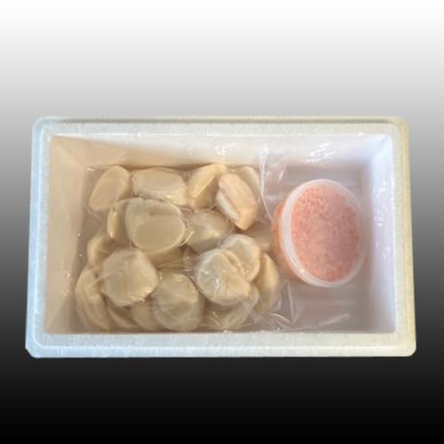 [北海道根室市] いくら醤油漬け100g×1P、ほたて貝柱500g×1P B-70019[配送月(年明け含む)の指定は不可]
