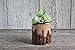 Handmade, Home decor, Set of 3 decorative rustic chic wood log, Artificial flower on the log, Gift idea, Farmhouse table decor