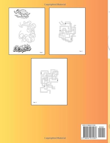 Mazes Book For Kids: Maze Explorer's Handbook: Challenges for Young Minds