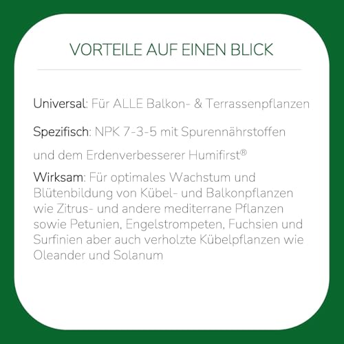 Substral Spezial-Flüssigdünger für Balkon- & Kübelpflanzen, 2L - Langanhaltende Blütenpracht & Gesundes Wachstum 4