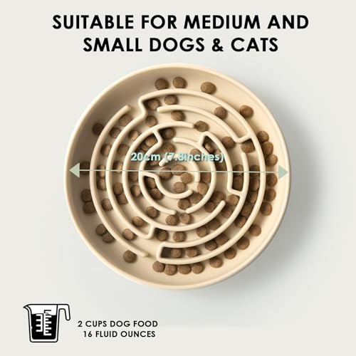Anti Schling Napf für Hunde und Katzen I Slow Feeder I Leckmatte Hund mit großem Saugnapf I Schleckmatte Katze für Nassfutter (Hellgrün)