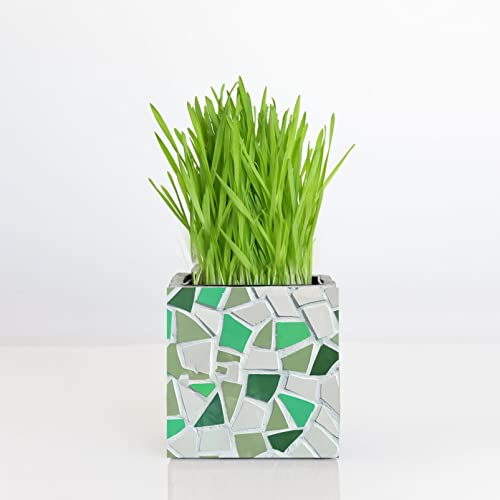 Consejos y reviews para comprar Mosaicos marca Porcelanosa los 10 mejores. 17 Imagen adicional