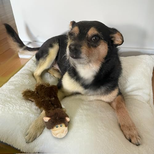 Image of Best Pet Supplies 2-in-1 Fun Skin Stuffless Dog Squeak Toy, Large, Monkey