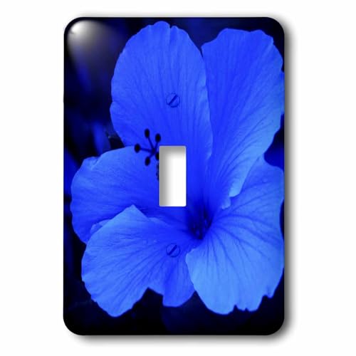 Interrupteur Big Blue Hibiscus 3dRose lsp_7817_1 pour remplacer une plaque usée