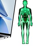 Pädagogische Präsentation Anatomie: Attraktives pädagogisches Modell mit transparenter Schutzvitrine, perfekt als Schreibtischdekoration und enthüllt gleichzeitig die innere Struktur des menschlichen Körpers, um Neugier und Wissensentdeckung zu inspirieren