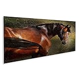 Colores vivos y alto contraste: nuestras impresiones no solo ofrecen características ecológicas, sino que también ofrecen un resultado de color fantástico con un contraste sorprendente. Los colores vivos hacen que cualquier imagen sea llamativa.