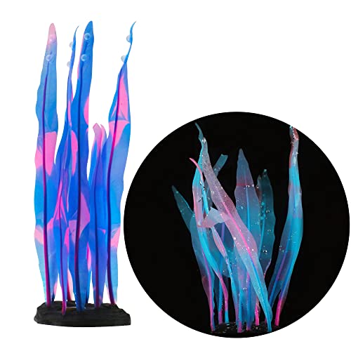 Leuchtende Pflanze Die 15 besten Produkte im Vergleich