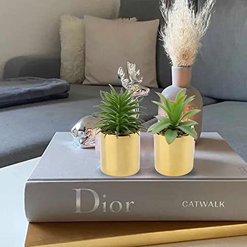 Briful Small Artificial Succulents In Pots Set Of 2 Realistic Faux Succulents Plants With Gold Ceramic Pots Cute Mini Fake Plants Decor For Modern Home Table Office Desk Bathroom Shelf Decoration #TOP1