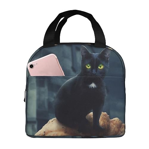 �����`�o�b�O �J�{�`���̏�̔L �l�C ������� �y�� �ۗ�ۉ� �j�����p �ʋ� �ʊw