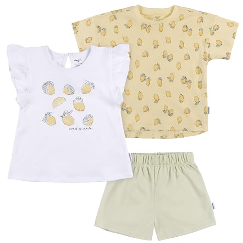 Gerber baby-girls Toddler Girls' Shirt and Shorts Set