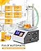Hanchen Weight Honey Filling Machine Automatic Bottling Machine with Cleaning Mode Gear Pump for Laundry Detergent, Sauce, Ketchup