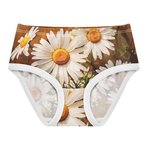 Vintage White Daisies Girls Underwear Toddler 2t Cotton Girl Panties Cute Durable Briefs Underpants