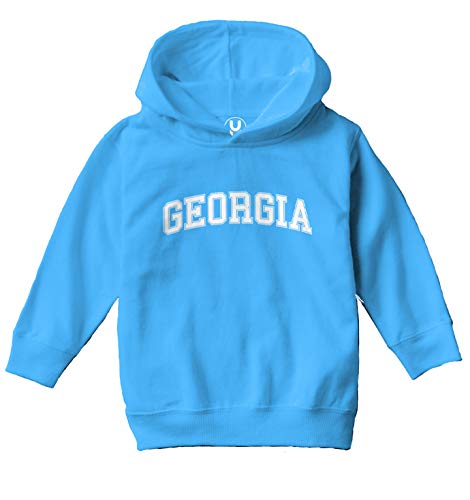 Georgia - State Proud Strong Pride Toddler/Youth Fleece Hoodie2