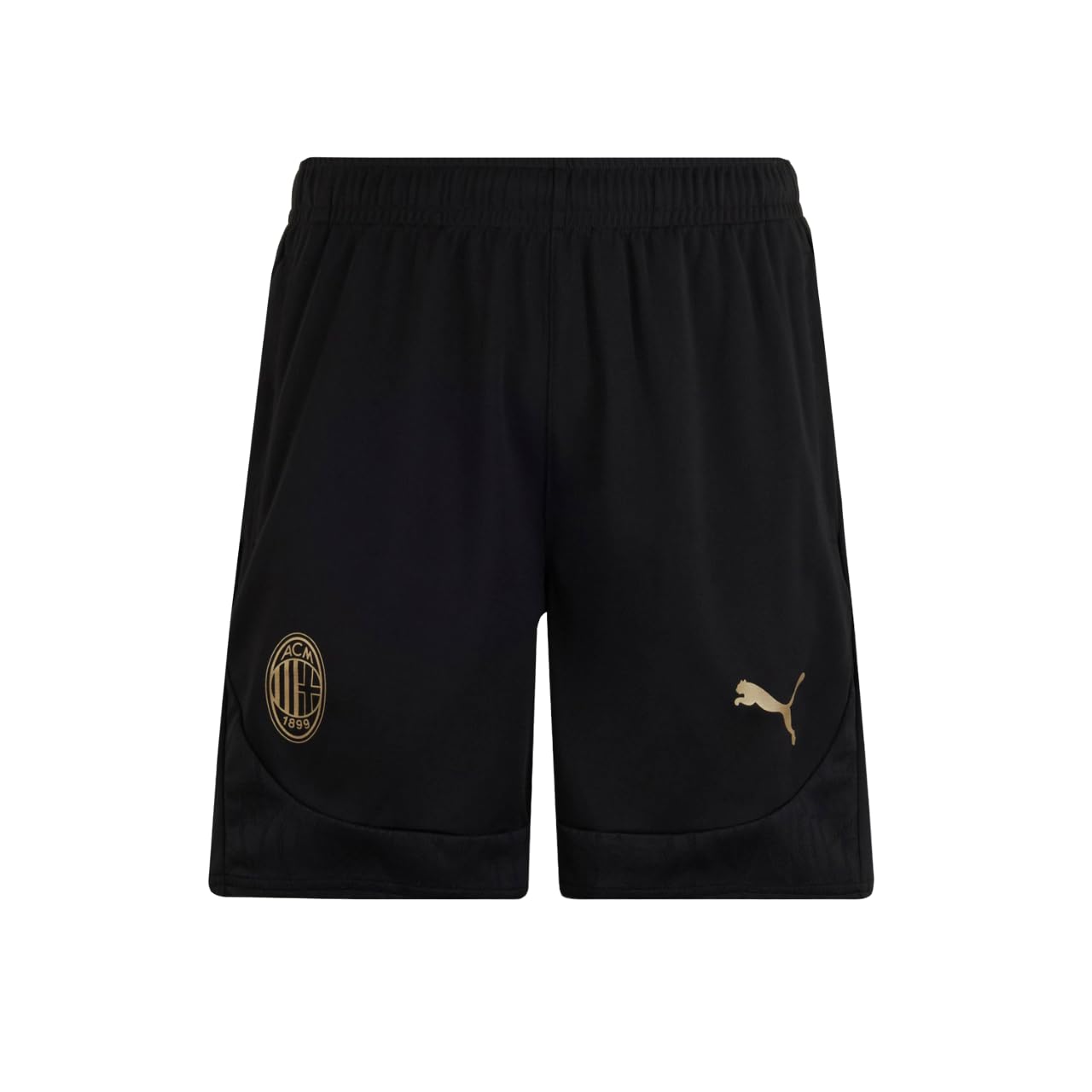 Puma - Training Shorts, Training Shorts, Season 2024/25, DryCELL Technology, Regular Fit Unisex - Adult Black
