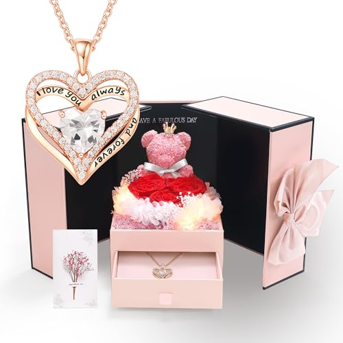 Mealcon Preserved Red Rose Gift Box with Heart Necklace Eternal Real Rose Dainty Love...