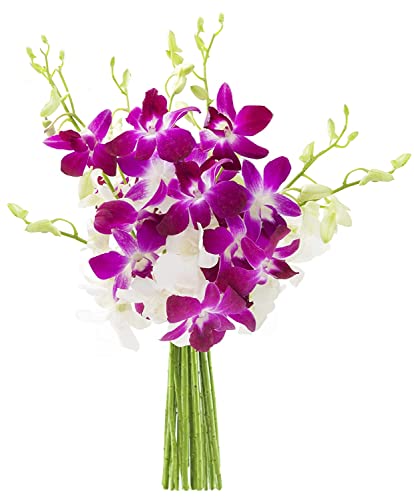 Image of KaBloom-20 Purple&White Orchid Bouquet,Flowers for Valentine, Mother's Day