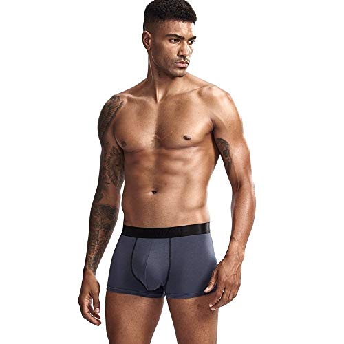 Jockmail Men Boxer Shorts Modal Soft Underwear Micro Separate Pouches Health Care Boxer Briefs (Xxl, Darkgray) #TOP6