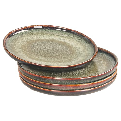 jinsongdafa Ceramic Dinner Plates Set, Dessert Plates Set of 4, for Platter Tray Serving Plate - Microwave Dishwasher Safe,Scratch Resistant,Dinnerware Kitchen Porcelain Serving Dishes, 25.5cm Round